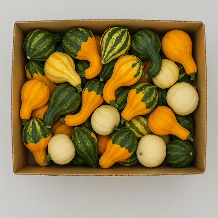 Box of Gourds