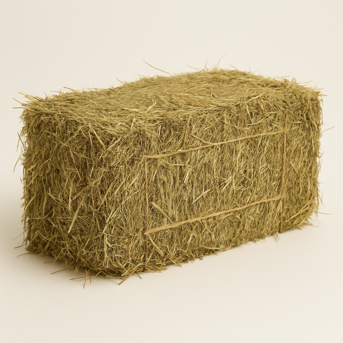 Bale of Hay